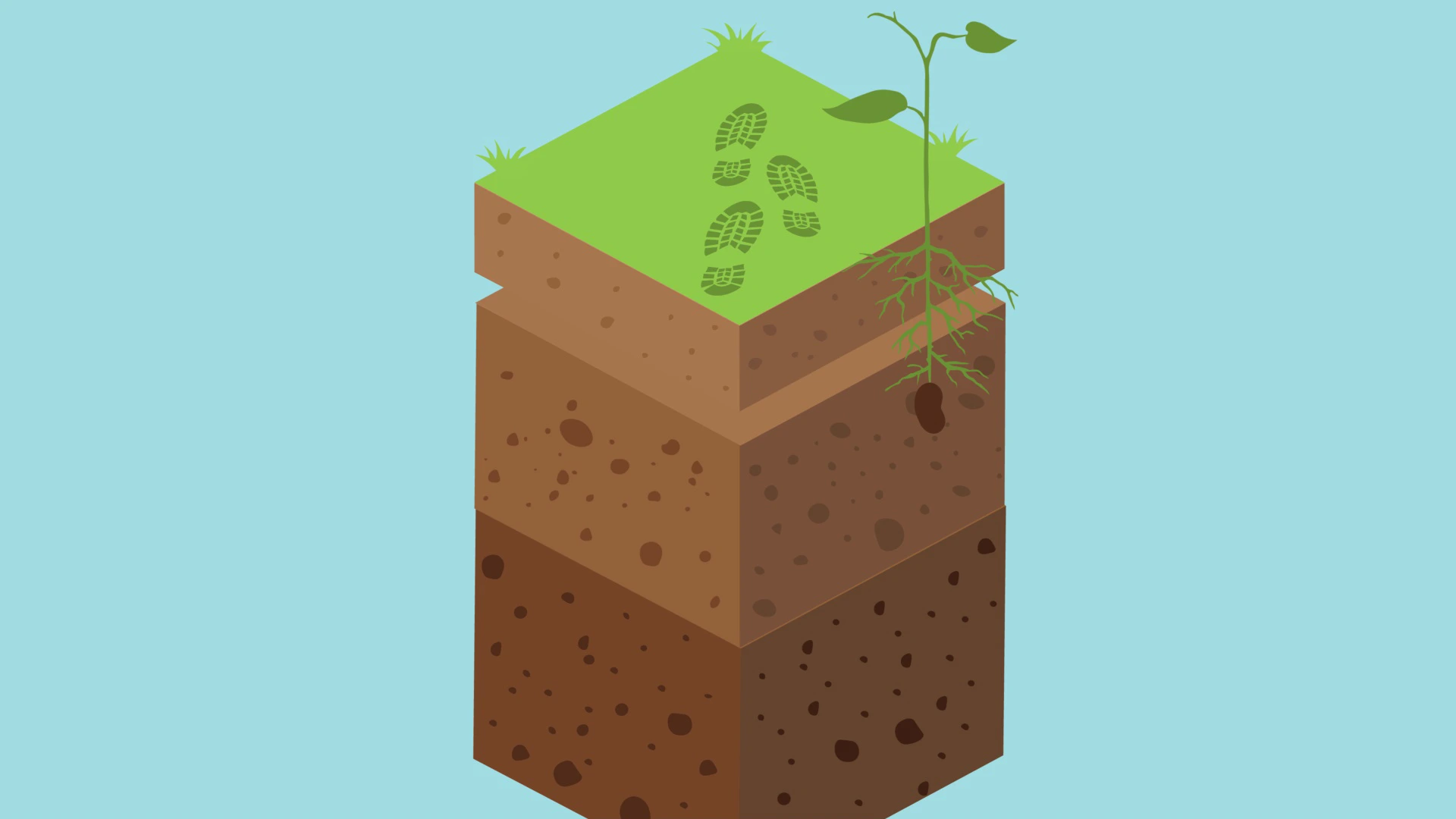 Vidéo éducation21 : La minute EDD, Le sol (FR)